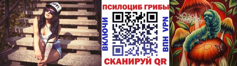 Псилоцибиновые грибы мухоморы  Ярославль 